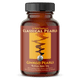 Gingko Pearls 90 capsules / 500 mg each