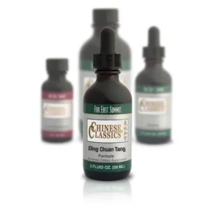 Far East Summit Ding Chaun Tong